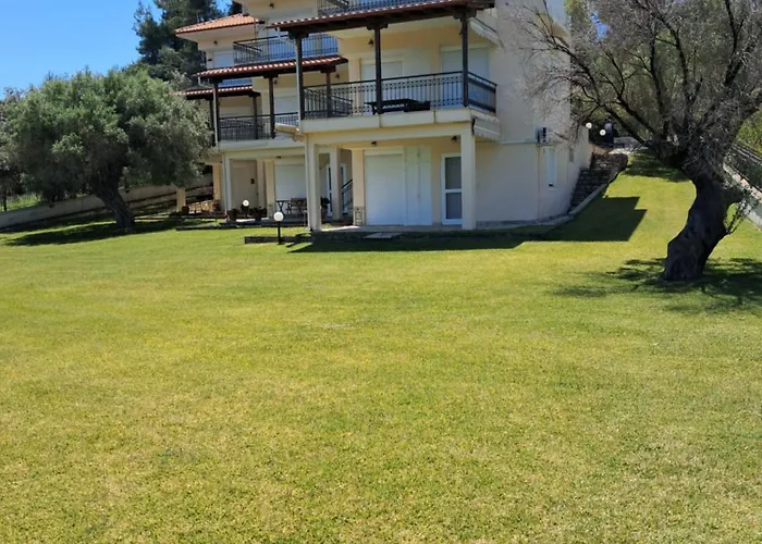 E&m View 波利克罗诺