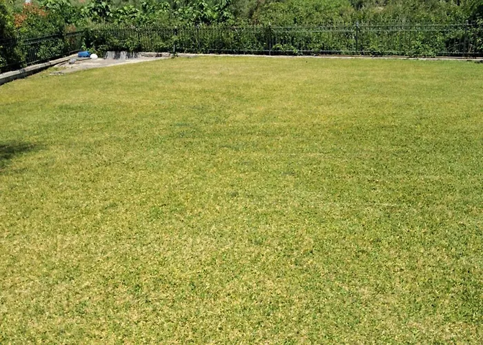 E&m View * 波利克罗诺