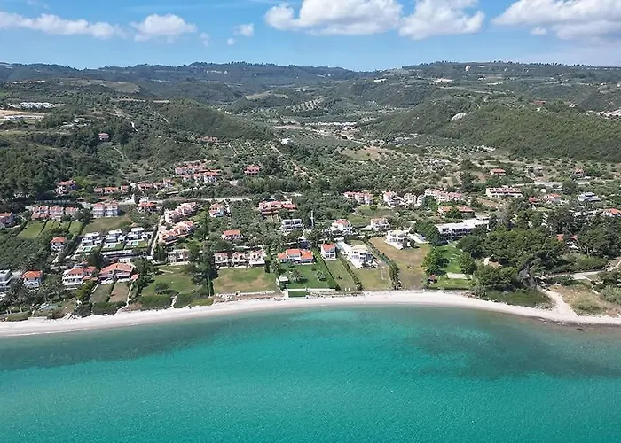 E&m View 波利克罗诺